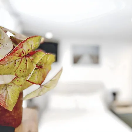 Daire Alfacinha Fully Equipped By Homeful Homes Lisboa